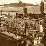 Barka Basia